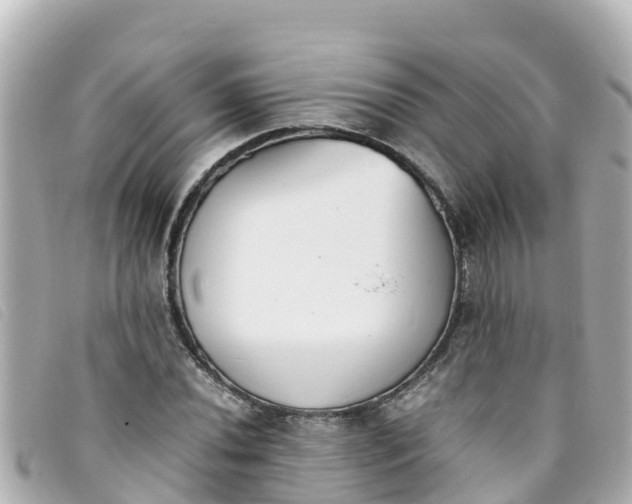 X0000093391020200710251236