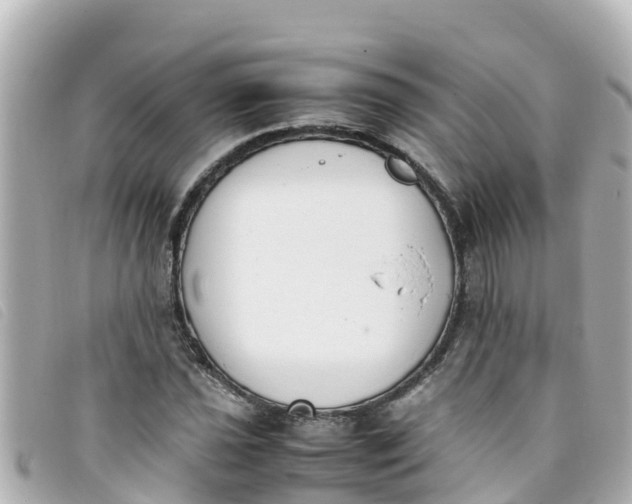 X0000093391021200710251236