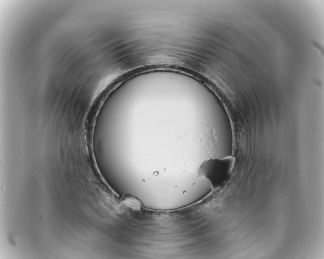 X0000093391022200710251236