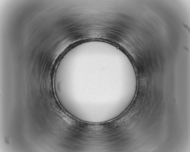 X0000093391023200710251236