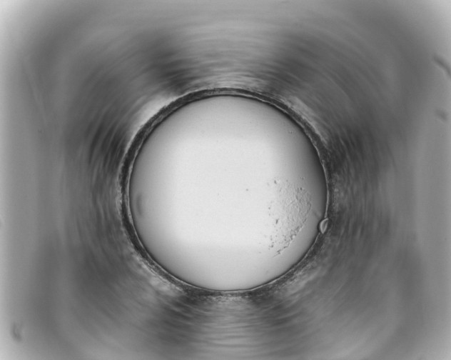 X0000093391024200710251236