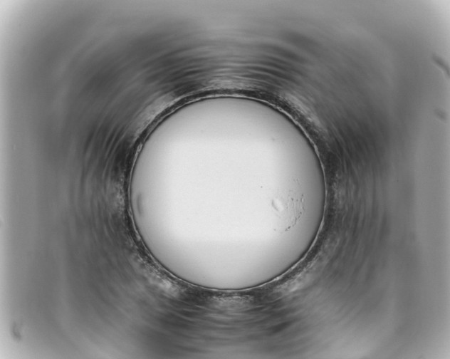 X0000093391025200710251236