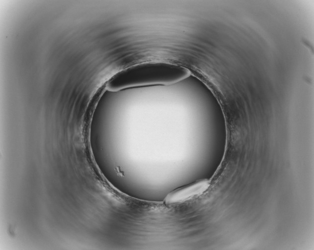 X0000093391026200710251236