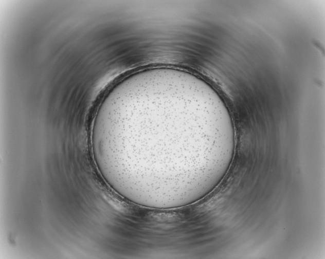 X0000093391027200710251236