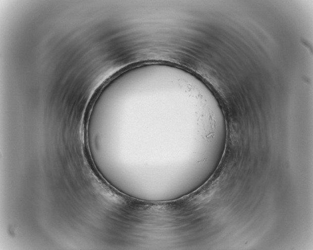 X0000093391028200710251236