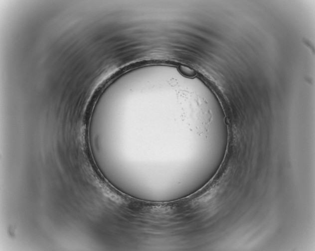 X0000093391029200710251236