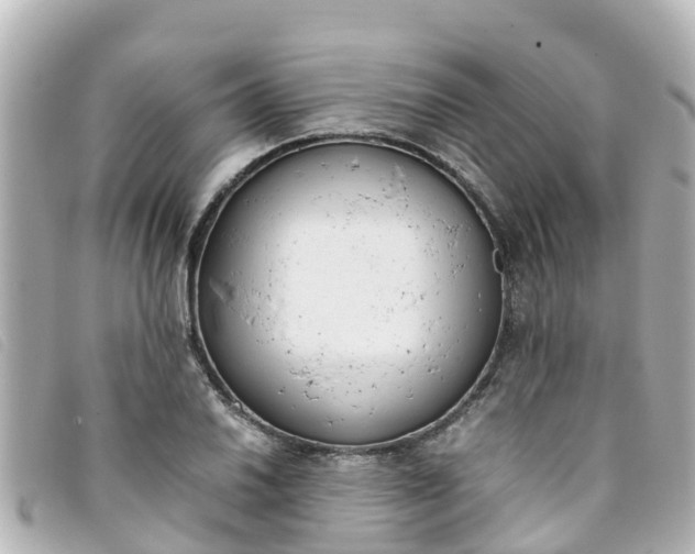 X0000093391030200710251236