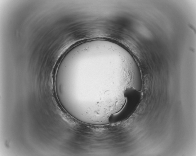 X0000093391031200710251236