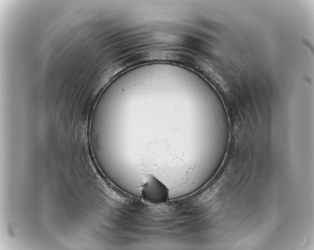 X0000093391033200710251236