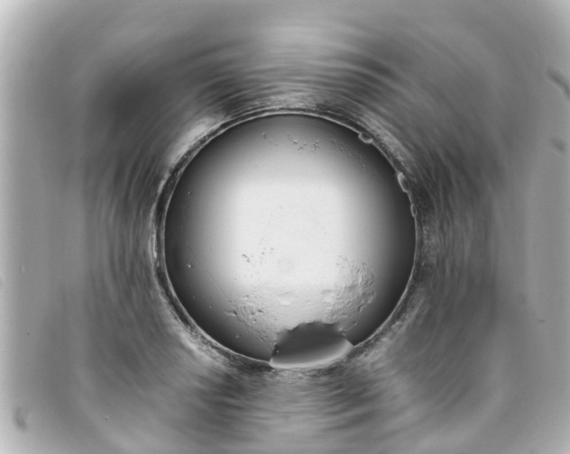 X0000093391034200710251236