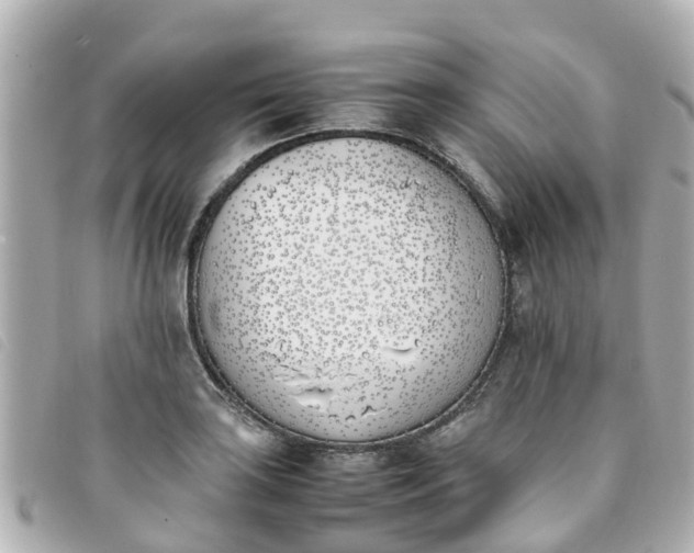 X0000093391035200710251236