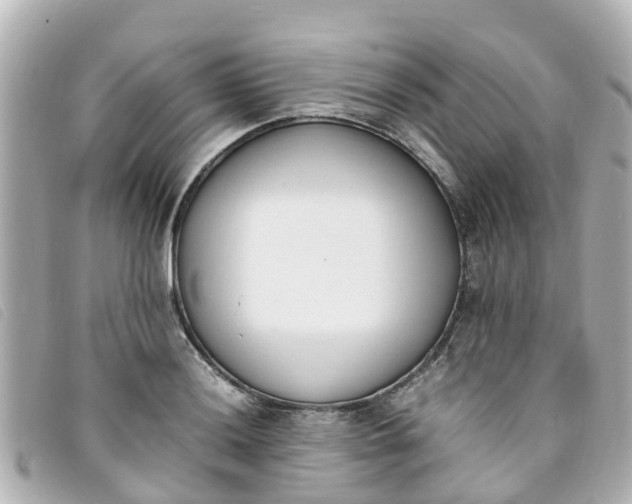 X0000093391036200710251236