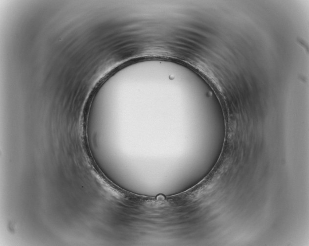 X0000093391037200710251236