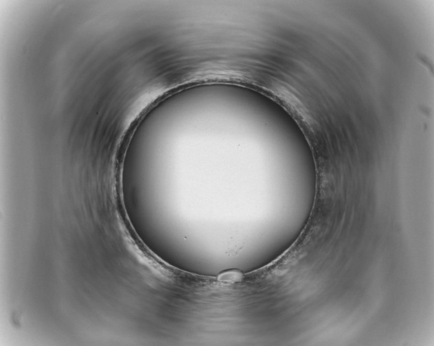 X0000093391038200710251236