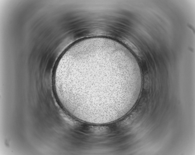 X0000093391039200710251236