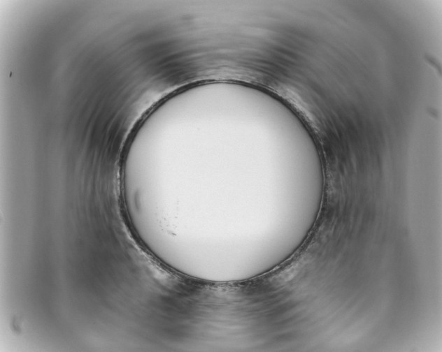 X0000093391040200710251236