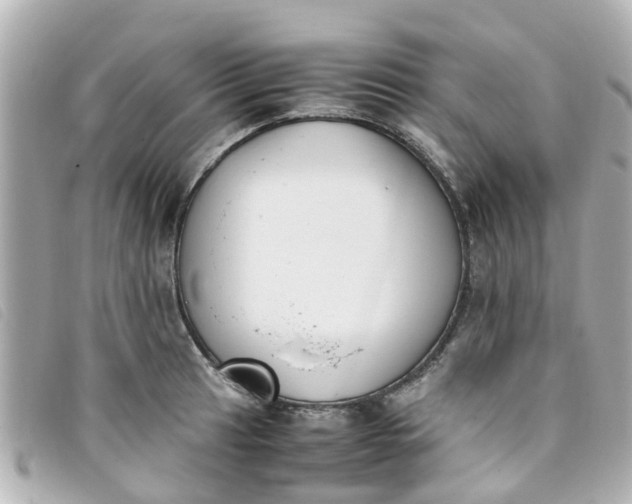 X0000093391041200710251236