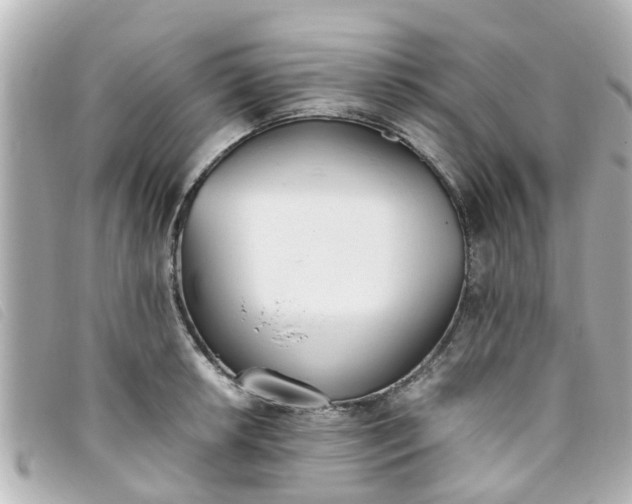 X0000093391042200710251236