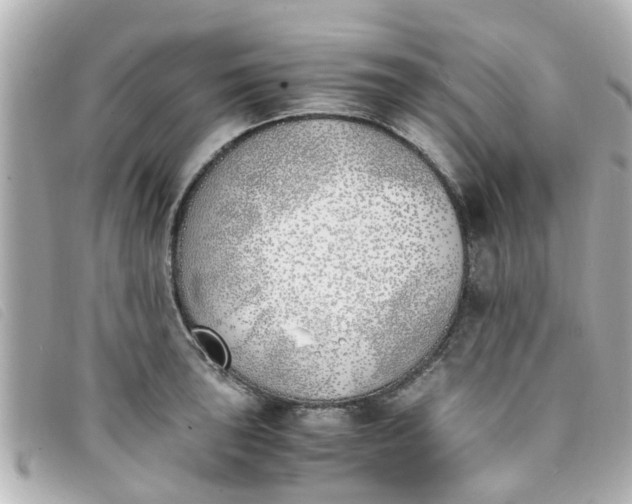 X0000093391043200710251236