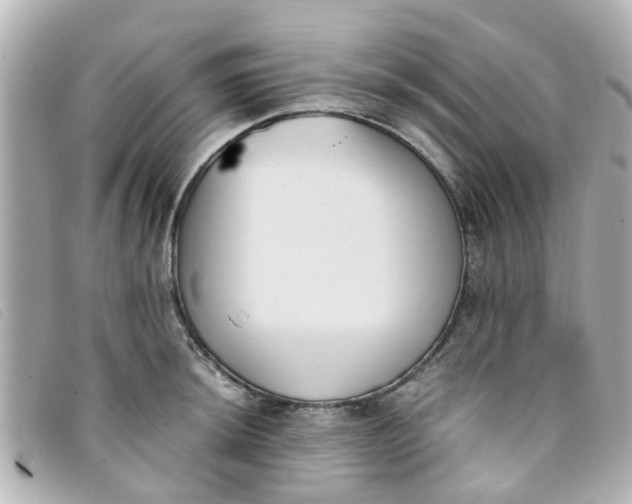 X0000093391044200710251236