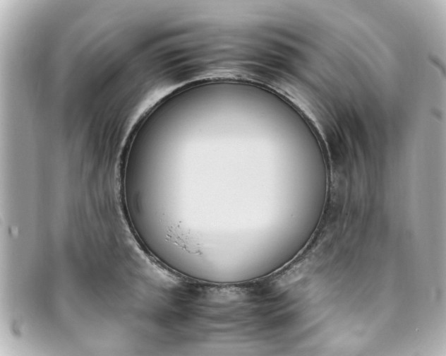 X0000093391045200710251236