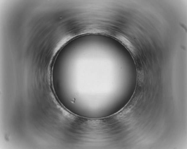 X0000093391046200710251236