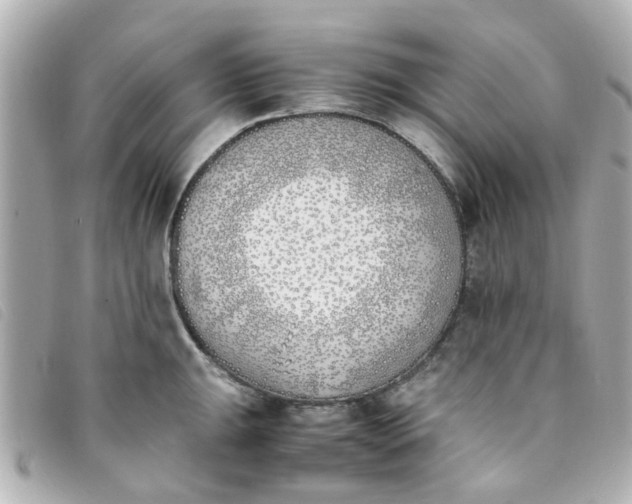 X0000093391047200710251236