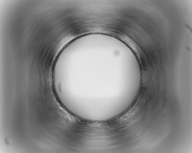 X0000093391048200710251236