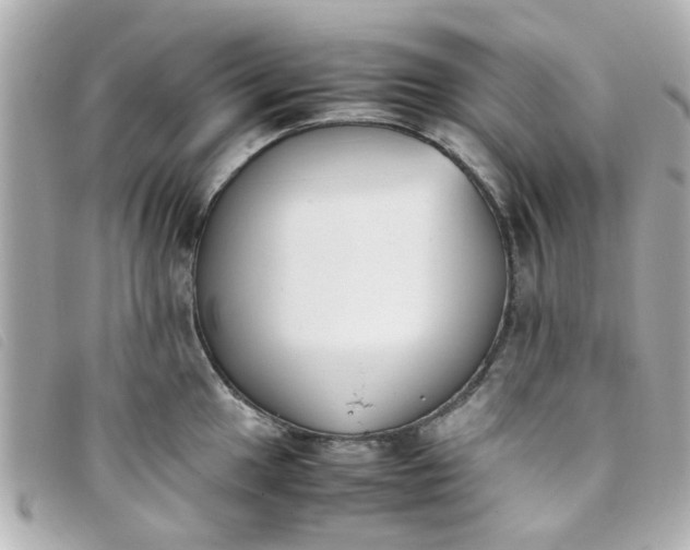 X0000093391049200710251236