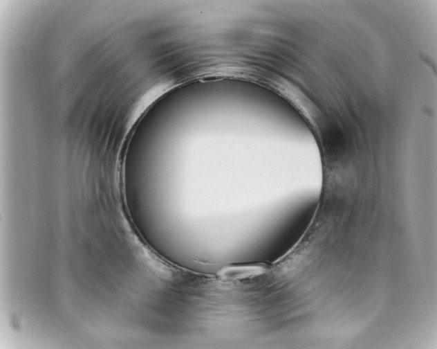 X0000093391050200710251236