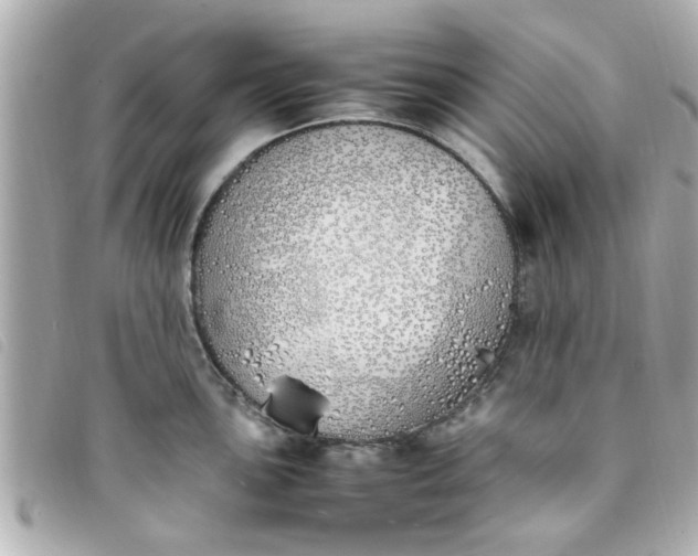 X0000093391051200710251236