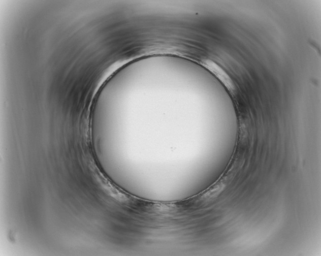 X0000093391052200710251236