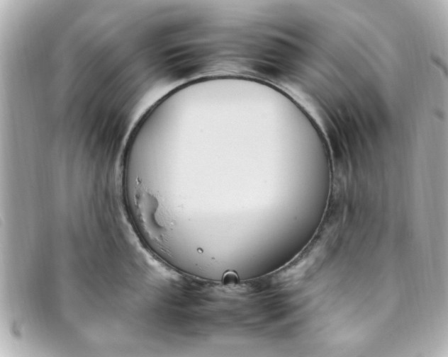 X0000093391053200710251236