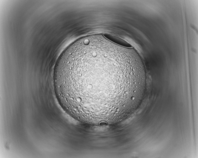 X0000093391055200710251236