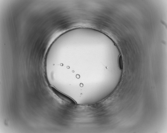 X0000093391056200710251236