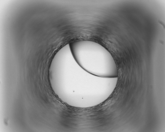 X0000093391057200710251236