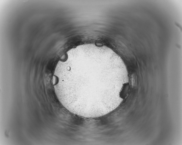 X0000093391059200710251235