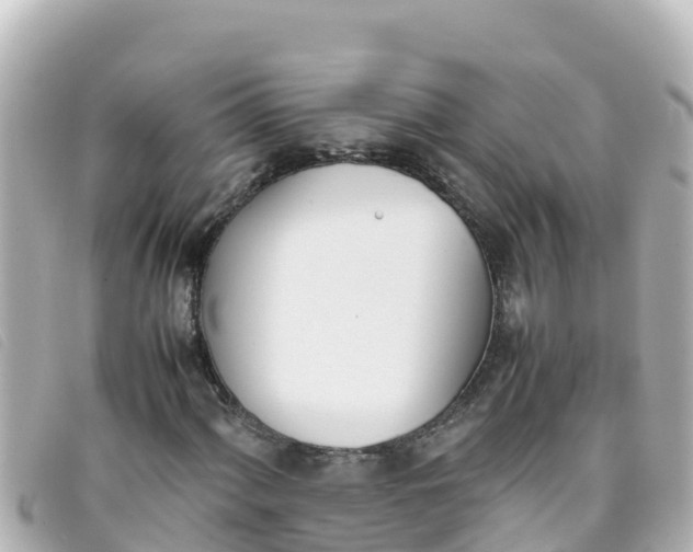 X0000093391060200710251235