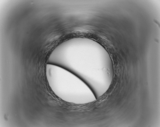 X0000093391061200710251235