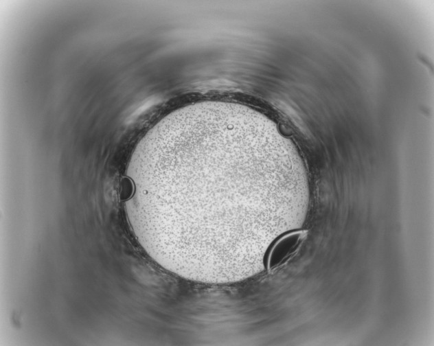 X0000093391063200710251235