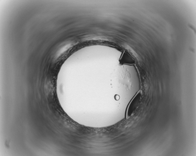 X0000093391064200710251235