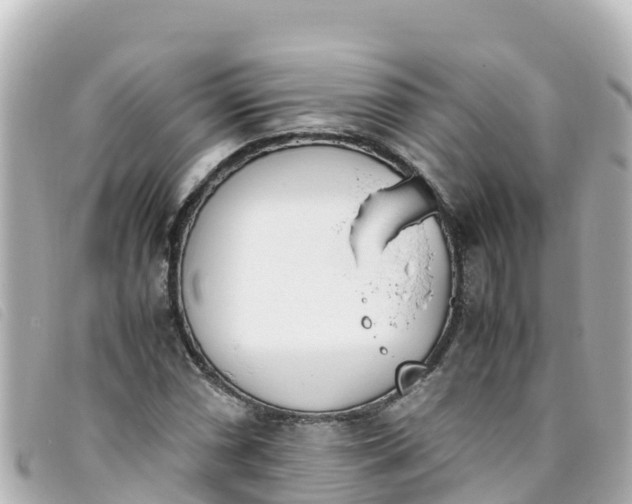 X0000093391066200710251235