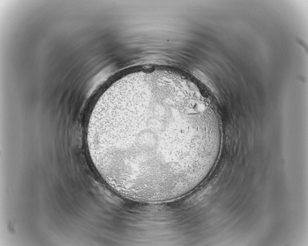 X0000093391067200710251235