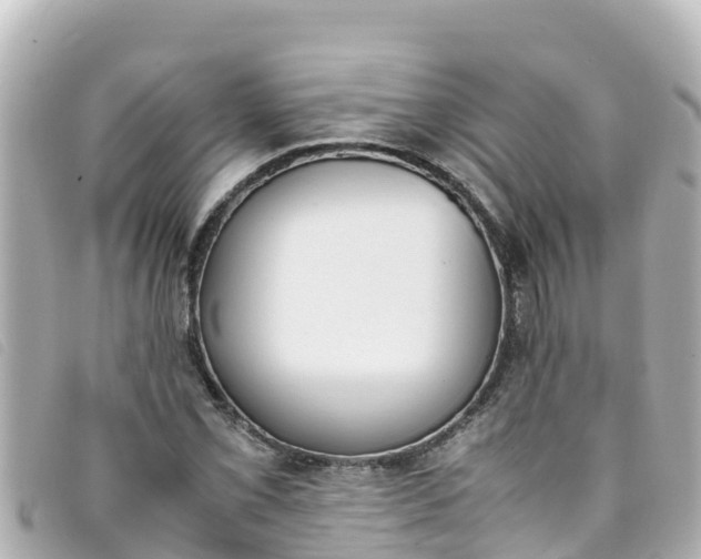 X0000093391069200710251235