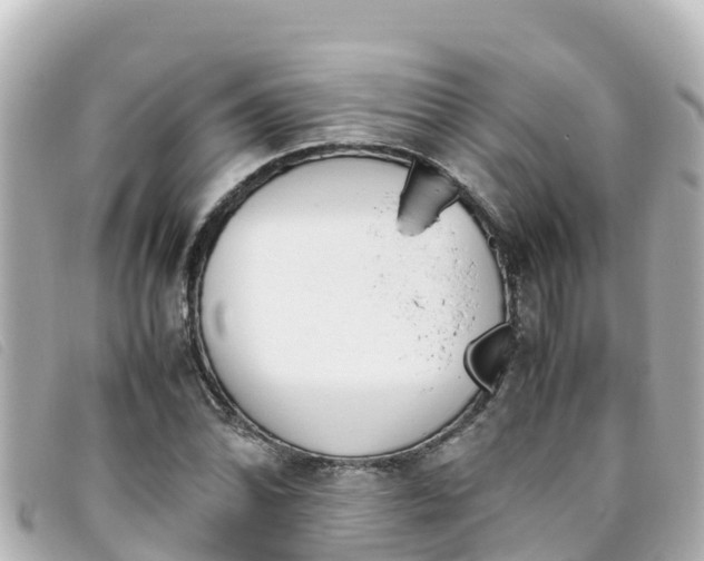 X0000093391070200710251235