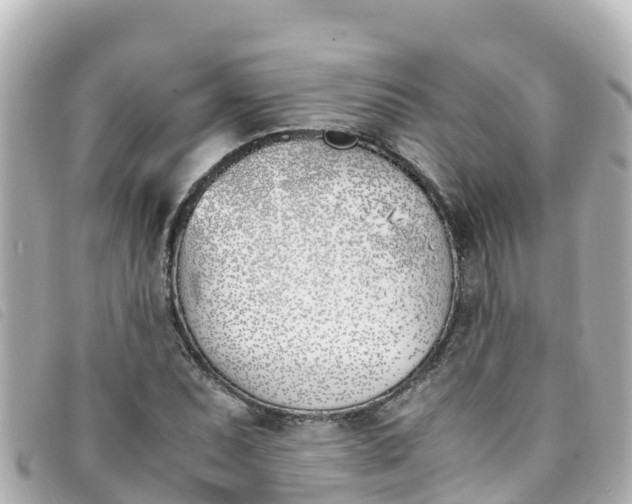 X0000093391071200710251235