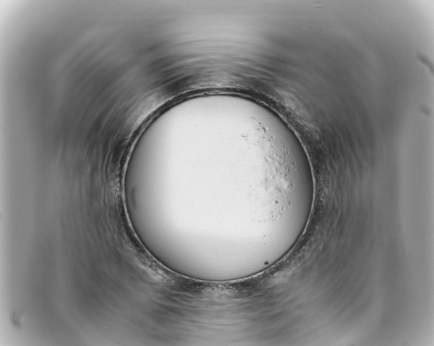 X0000093391073200710251235