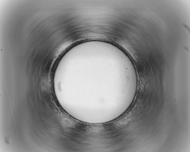 X0000093391074200710251235