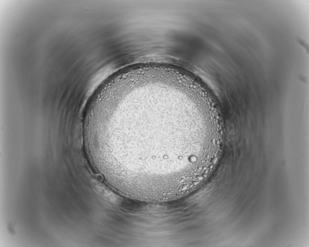 X0000093391075200710251235