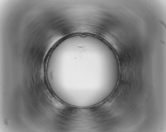 X0000093391076200710251235